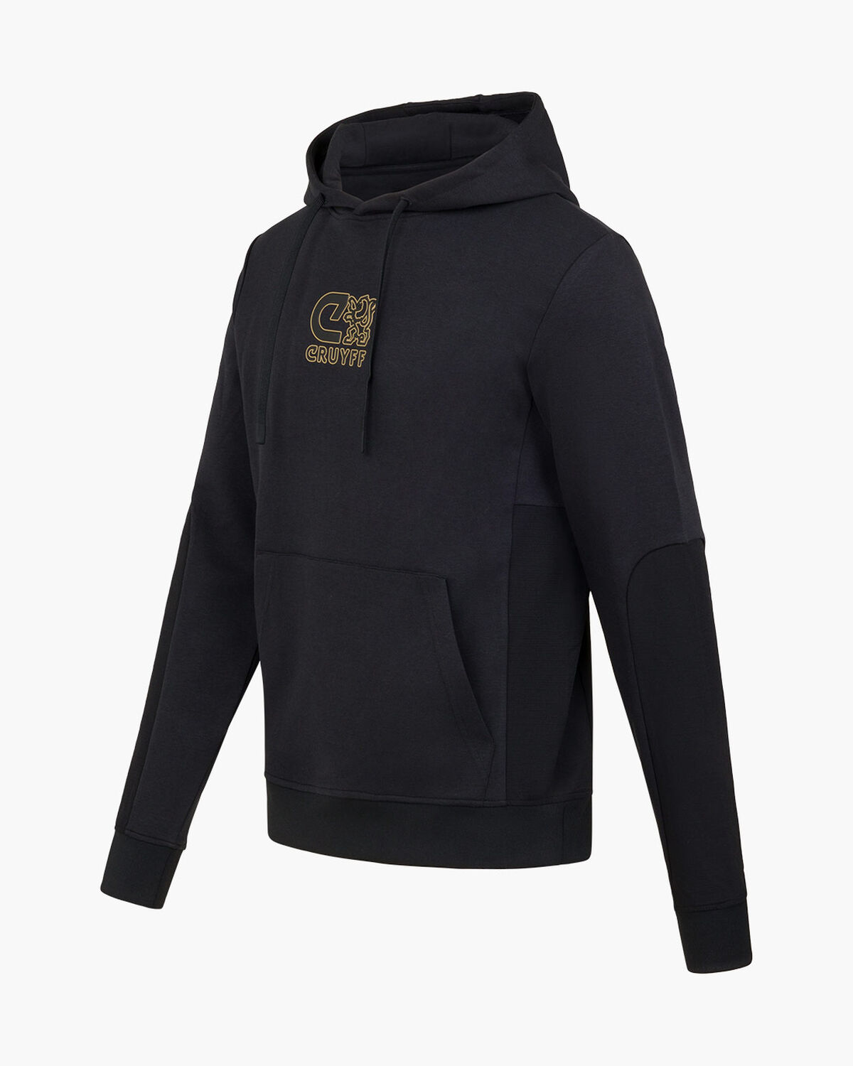 C-lion Outlined Graphic Hoodie, Black/Gold, hi-res
