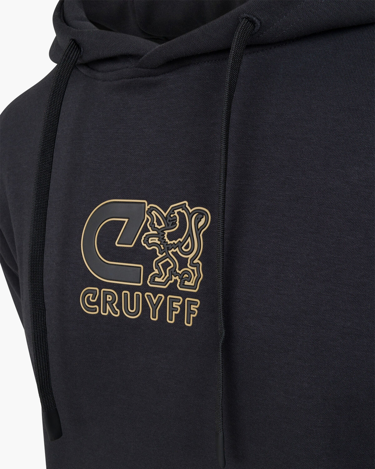 C-lion Outlined Graphic Hoodie, Black/Gold, hi-res