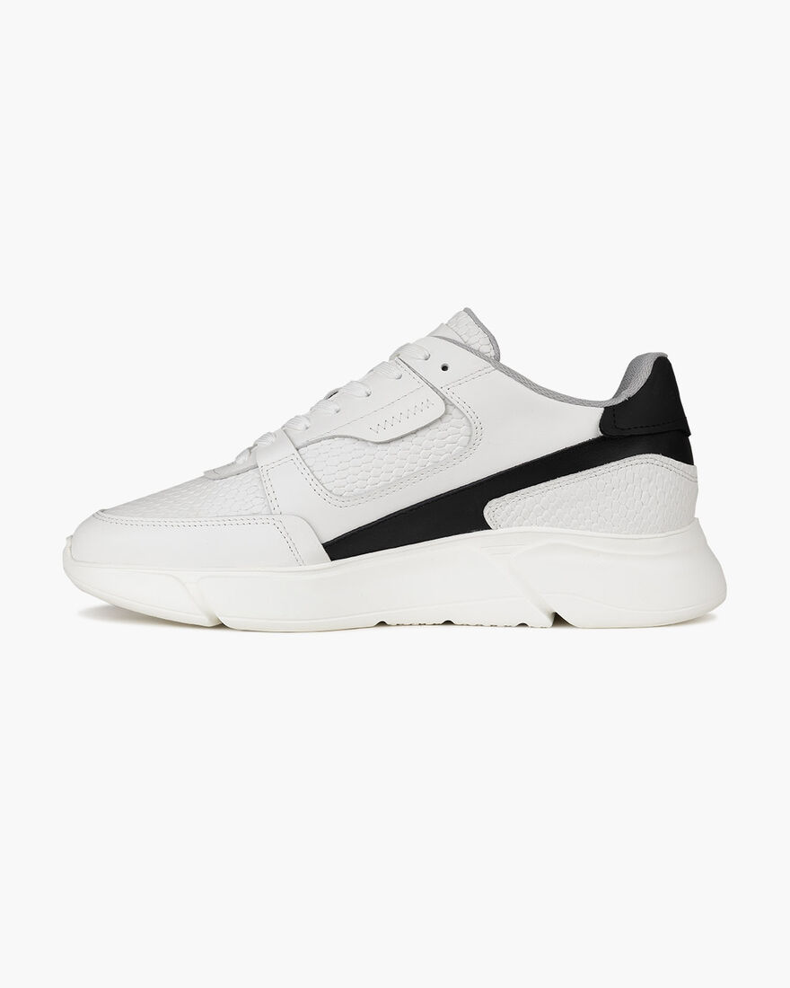 ARQ II, White, hi-res