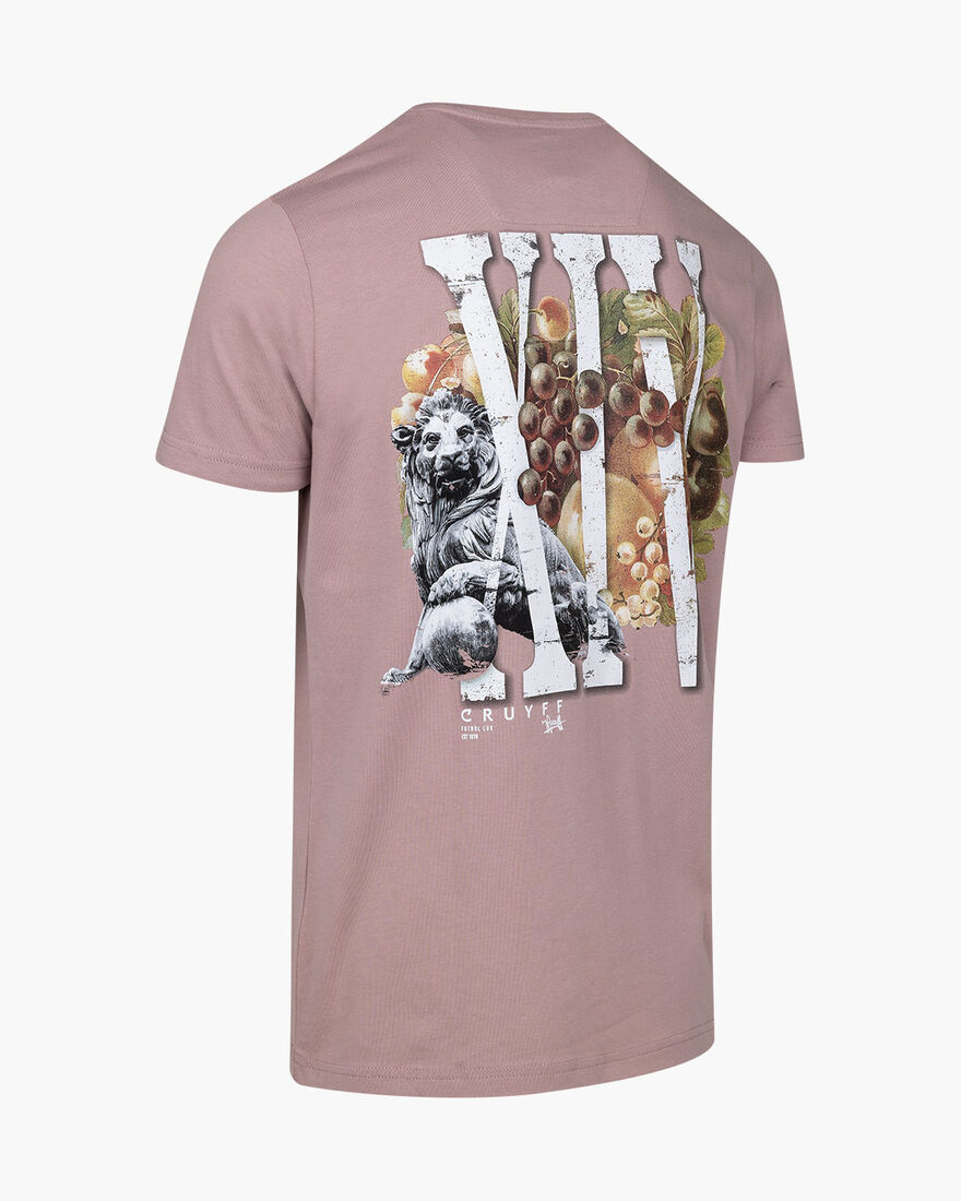 Mauro T-shirt, Pink, hi-res