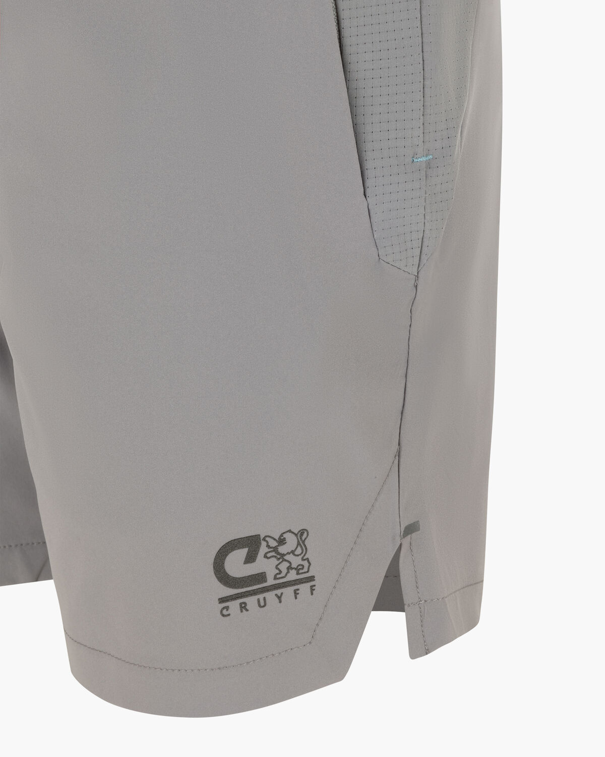 Flame Shorts, Grey, hi-res