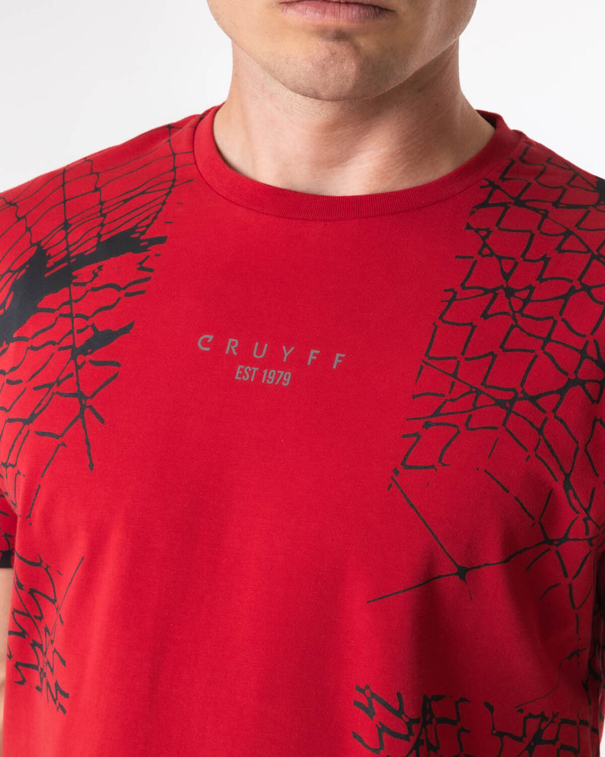 Rafael Tee  - 95% Cotton / 5% Elastane, Red, hi-res