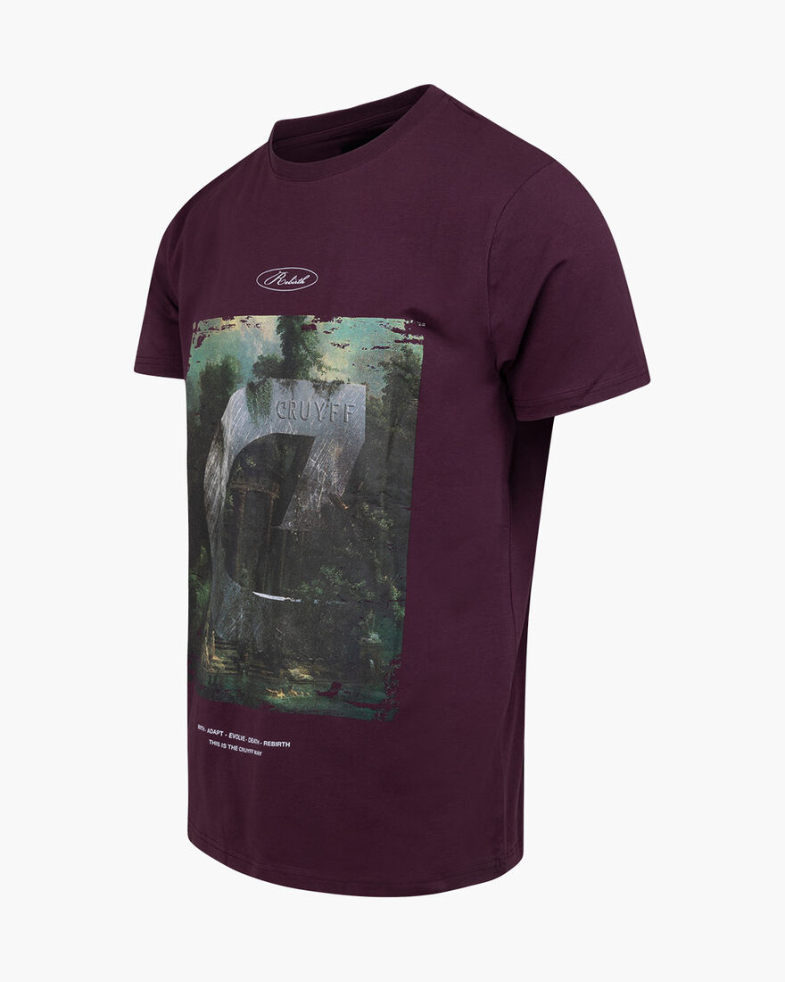 Rebirth Tee, Wine, hi-res