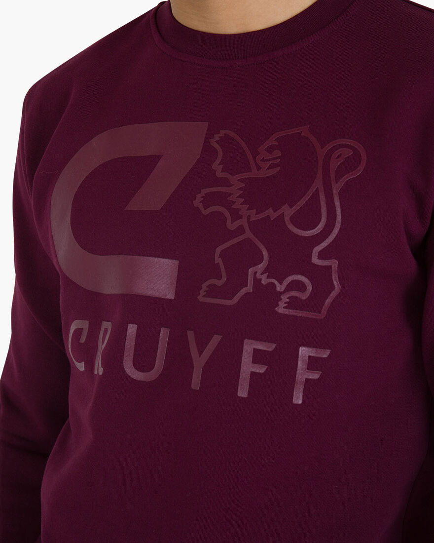 Hernandez Sweater, Bordeaux, hi-res