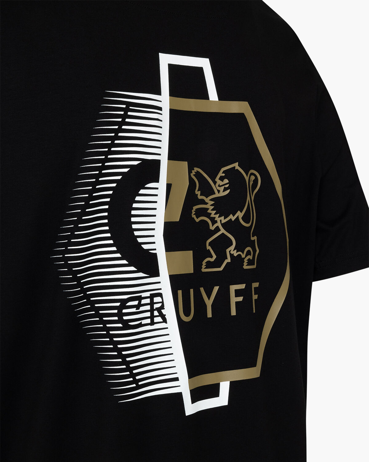 C-Lion Back Graphic Tee, Black/Gold, hi-res
