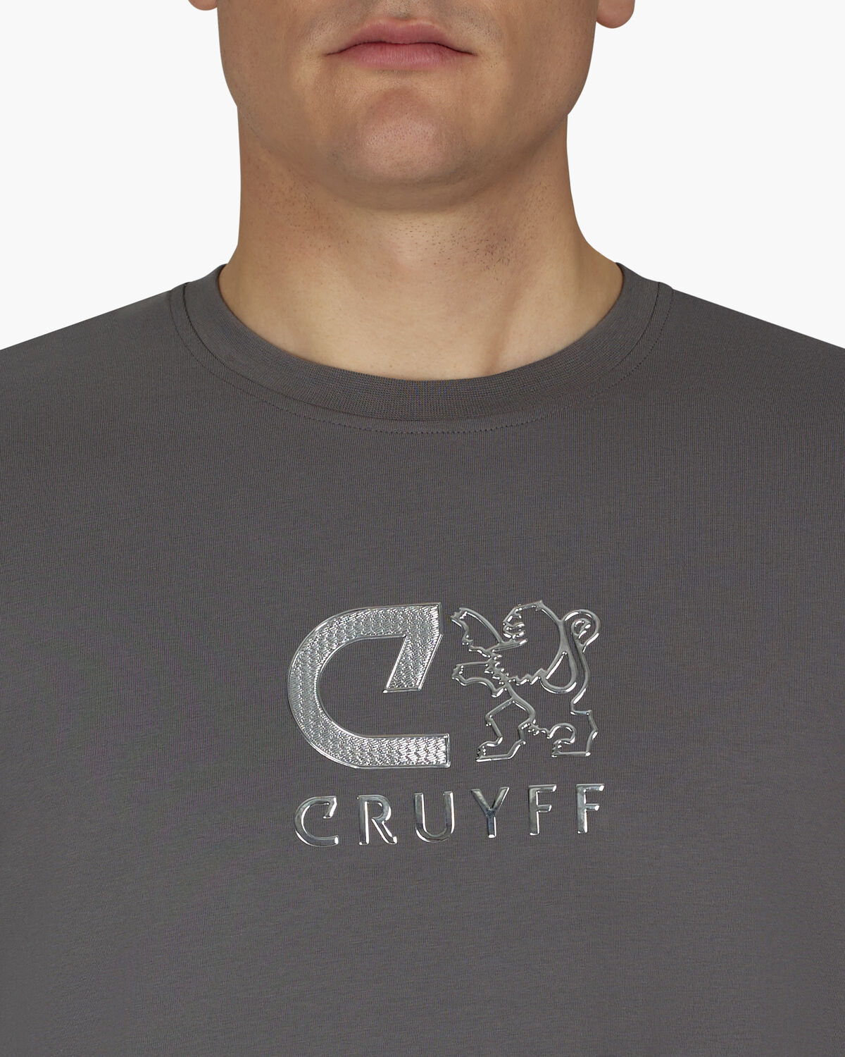 C-Lion Reflective Tee, Grey, hi-res