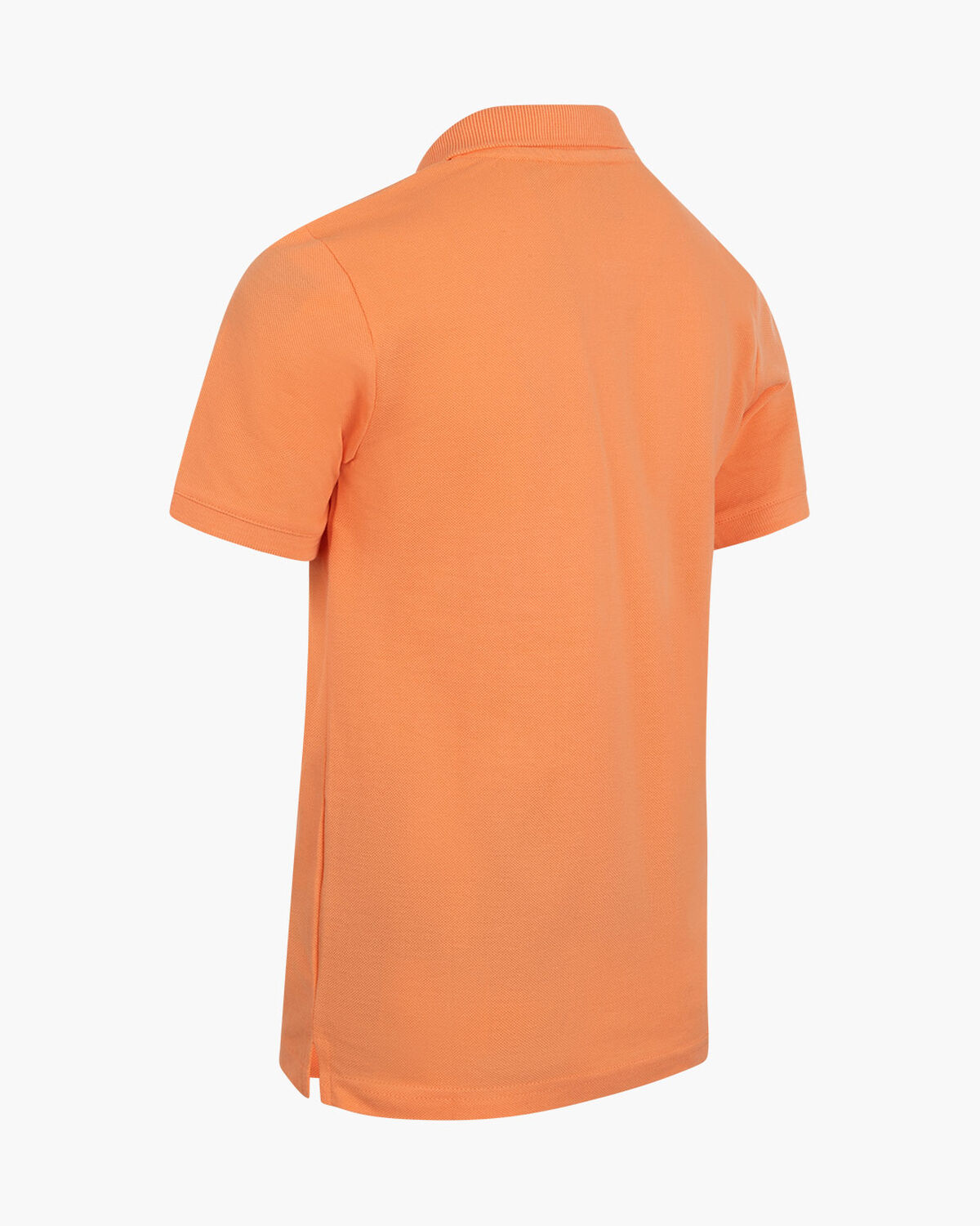 Polo, Skin, hi-res