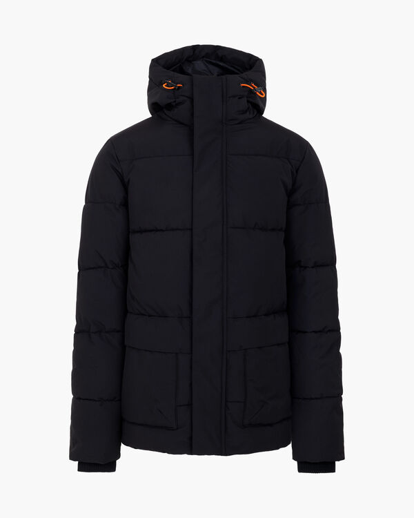 Hooded Puffer