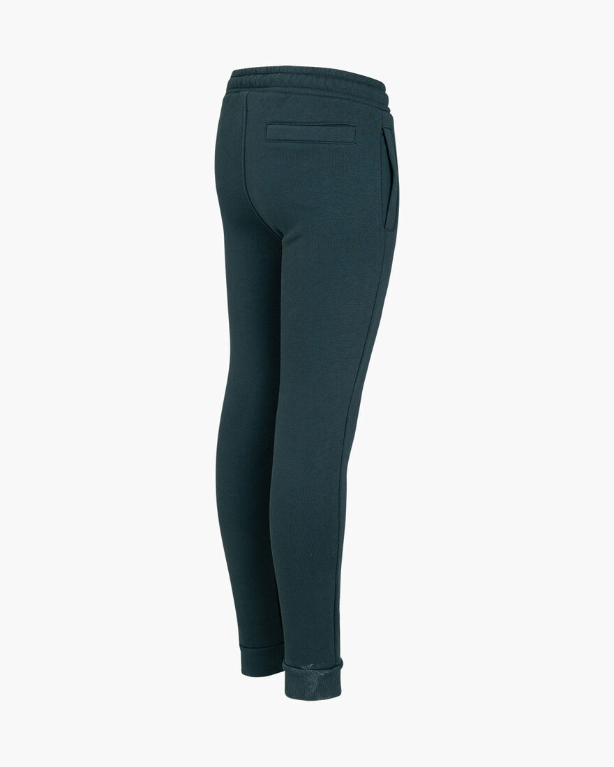 Joaquim Pant, Dark green, hi-res