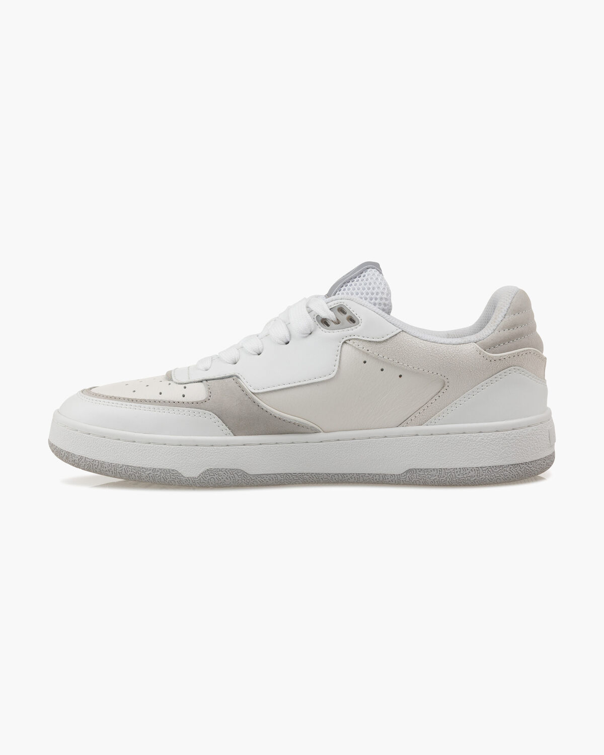 Volteria, White, hi-res