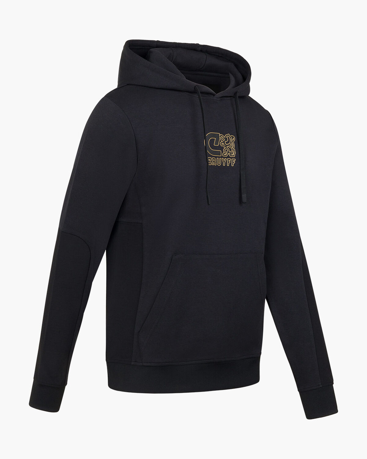 C-lion Outlined Graphic Hoodie, Black/Gold, hi-res