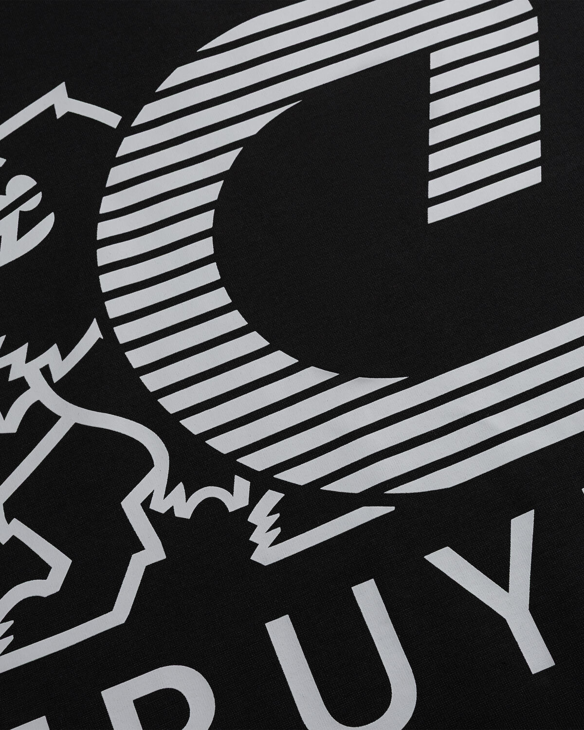 C-lion Alpha Hoodie, Black, hi-res