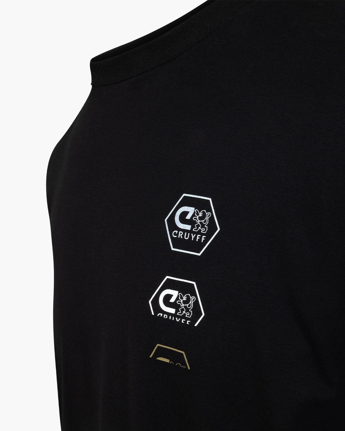 C-Lion Back Graphic Tee, Black/Gold, hi-res