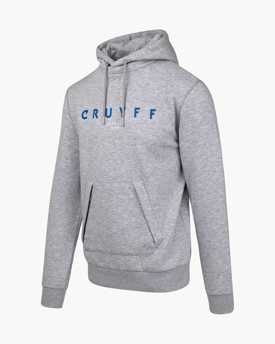 Aitor Hoodie, Grey, hi-res