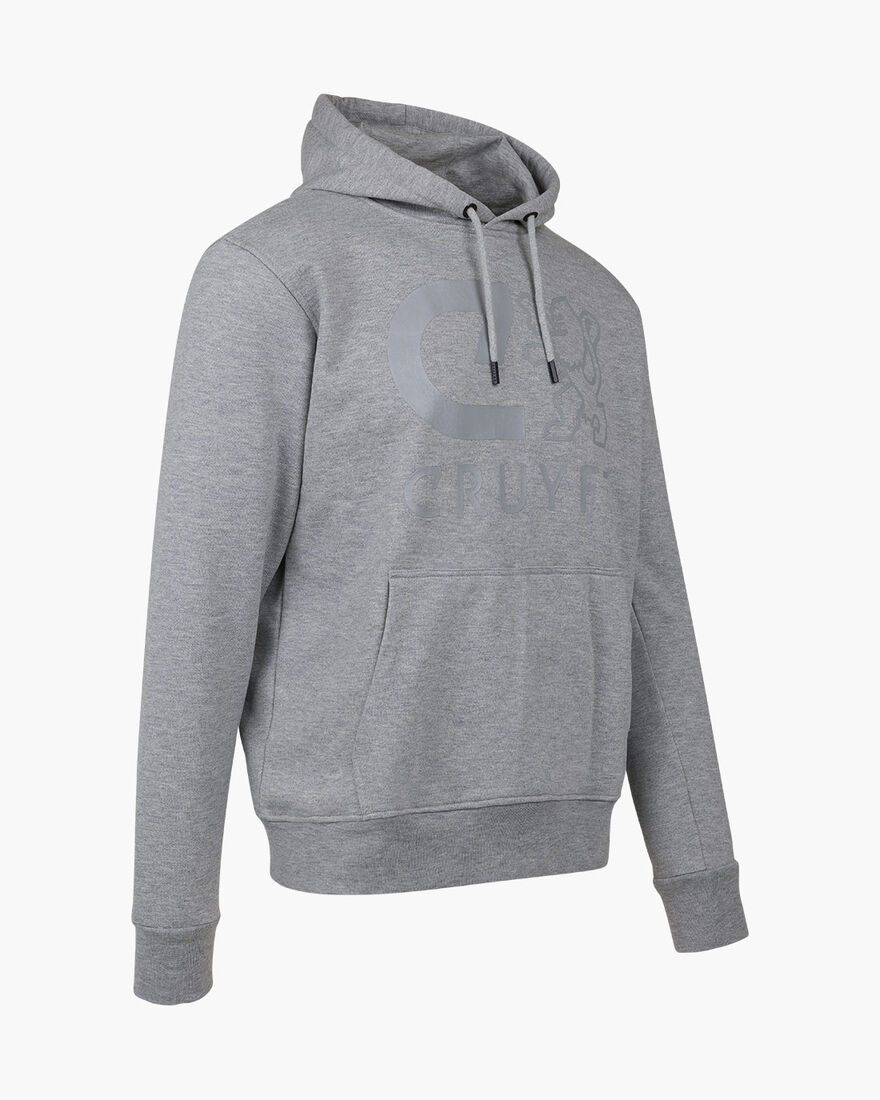 Hernandez Hoodie, Grey, hi-res
