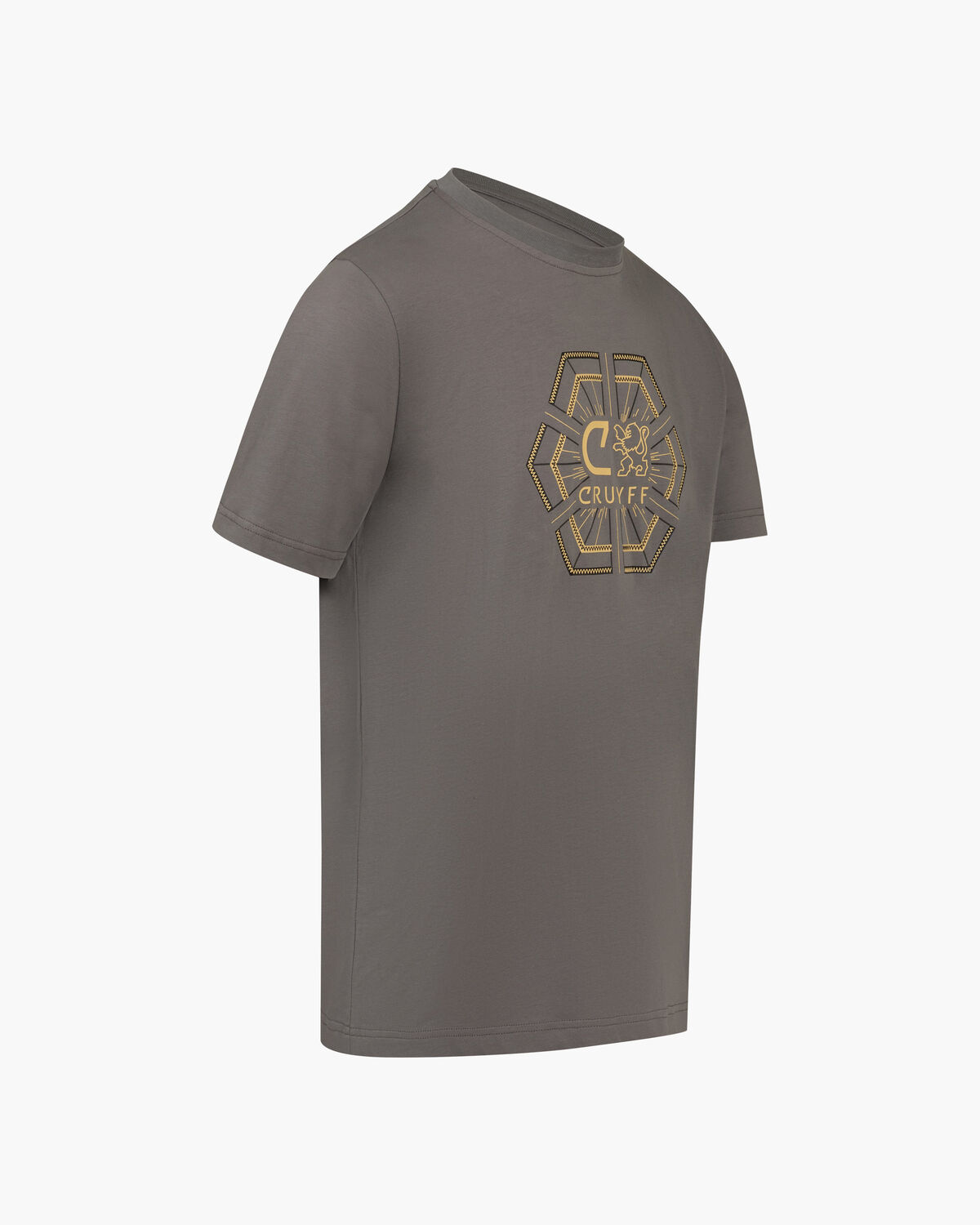 C-Lion Geo Tee, Grey/Gold, hi-res