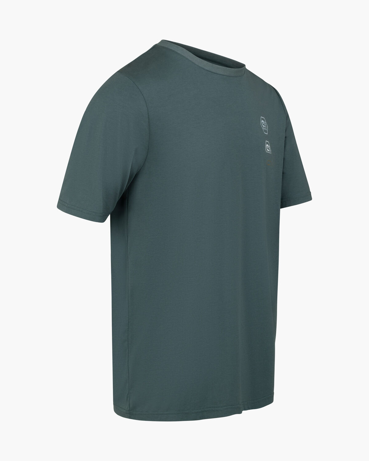 C-Lion Back Graphic Tee, Green/Blue, hi-res