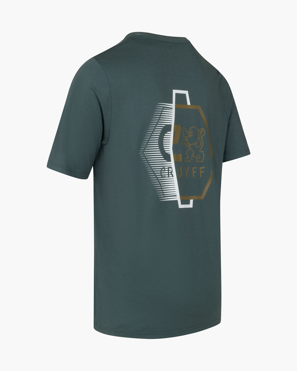 C-Lion Back Graphic Tee, Green/Blue, hi-res