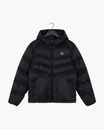 Black/Gold