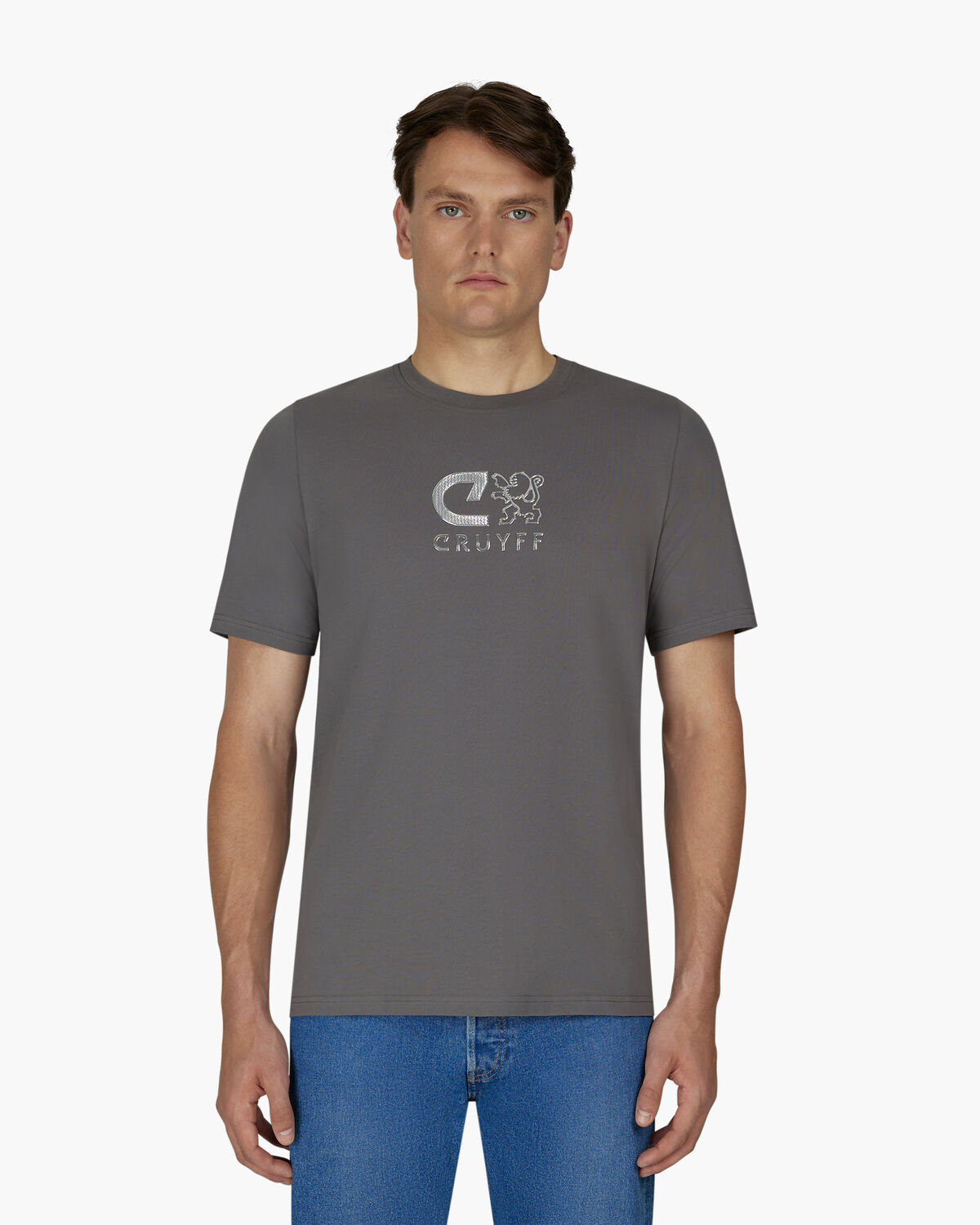C-Lion Reflective Tee, Grey, hi-res