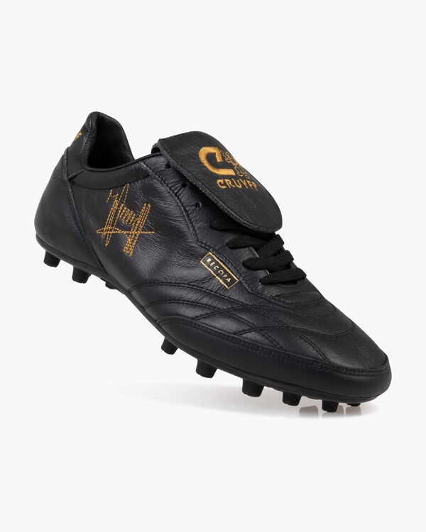 Recopa SL