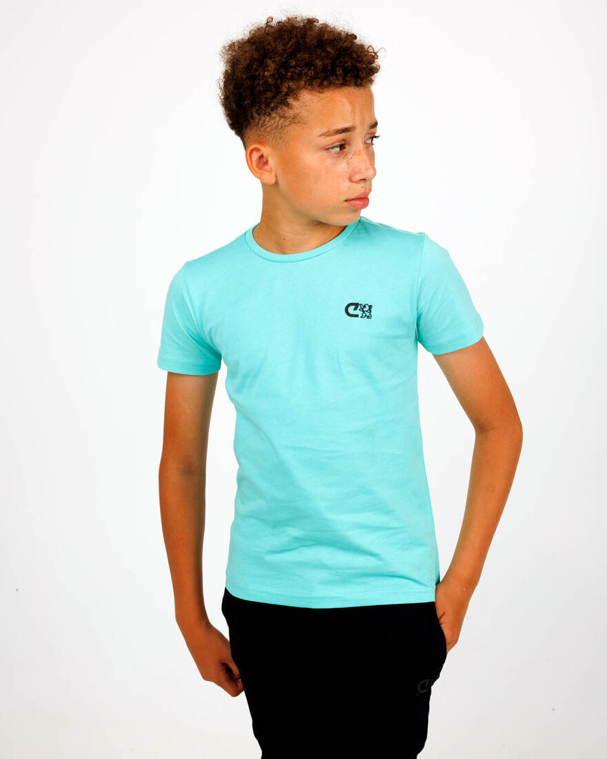 Roan Tee, Ice, hi-res