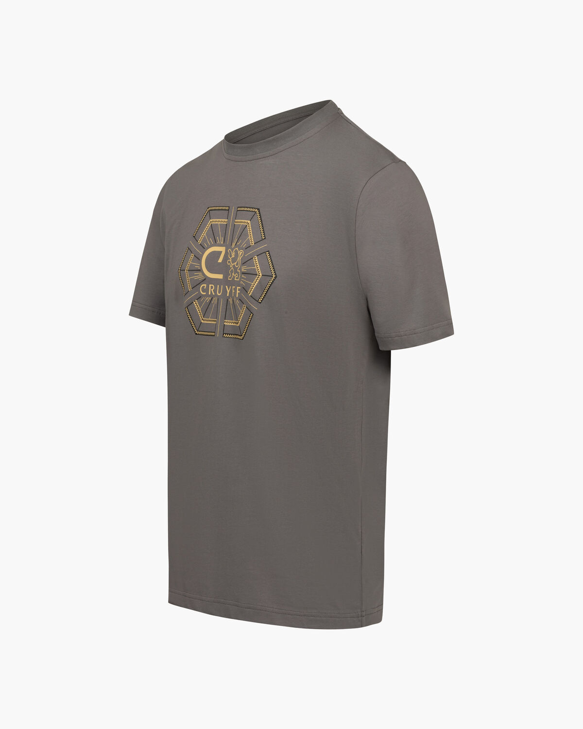 C-Lion Geo Tee, Grey/Gold, hi-res