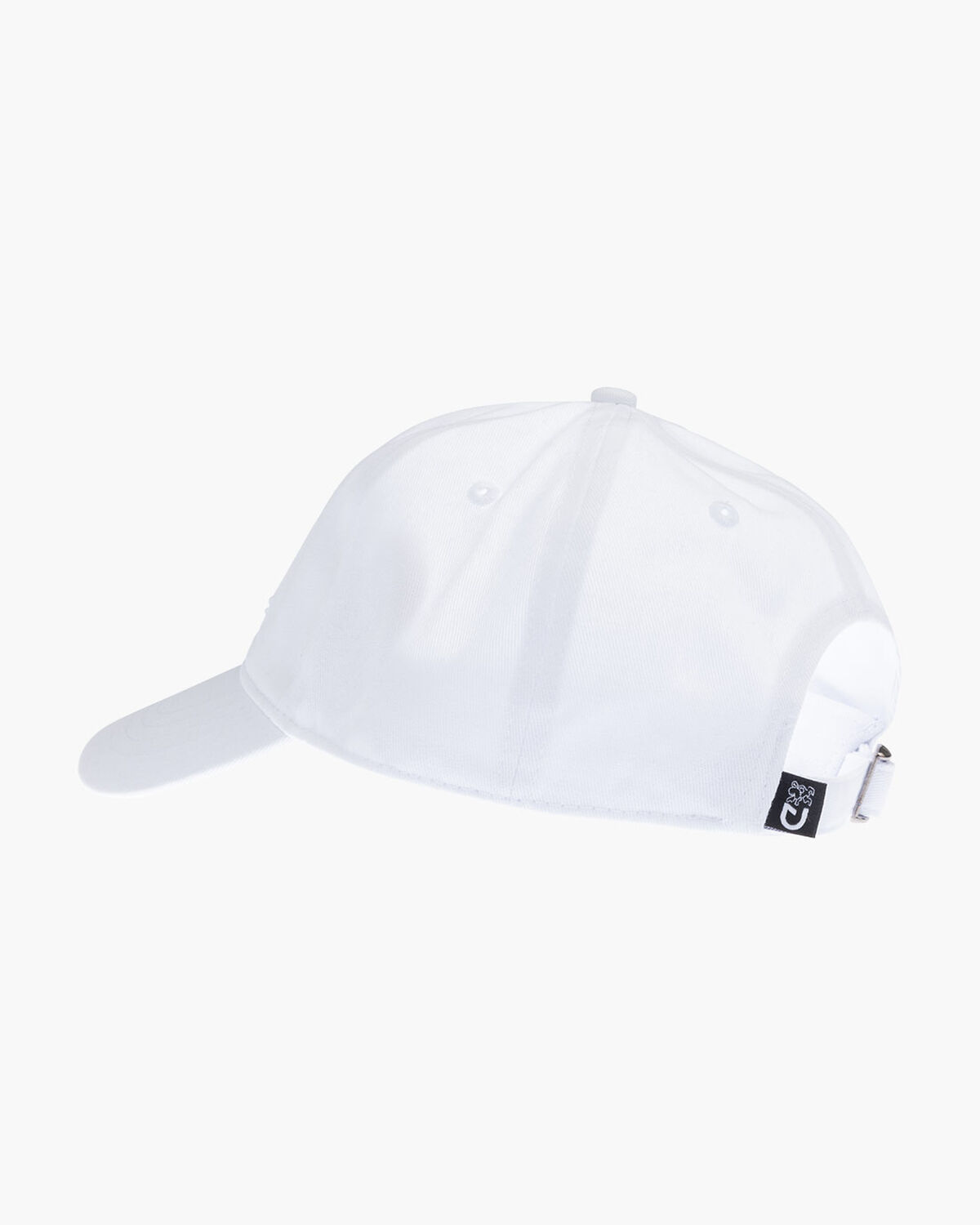C-Lion Pitcher, White, hi-res