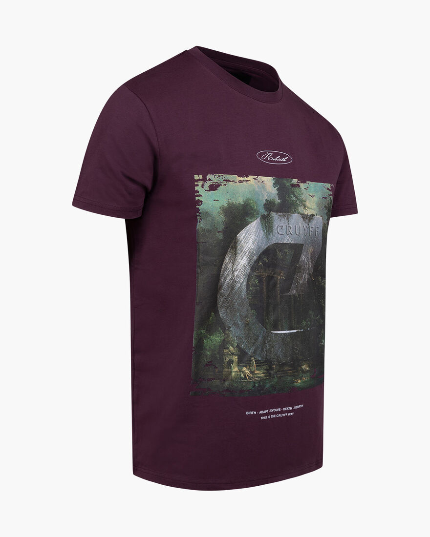 Rebirth Tee, Wine, hi-res