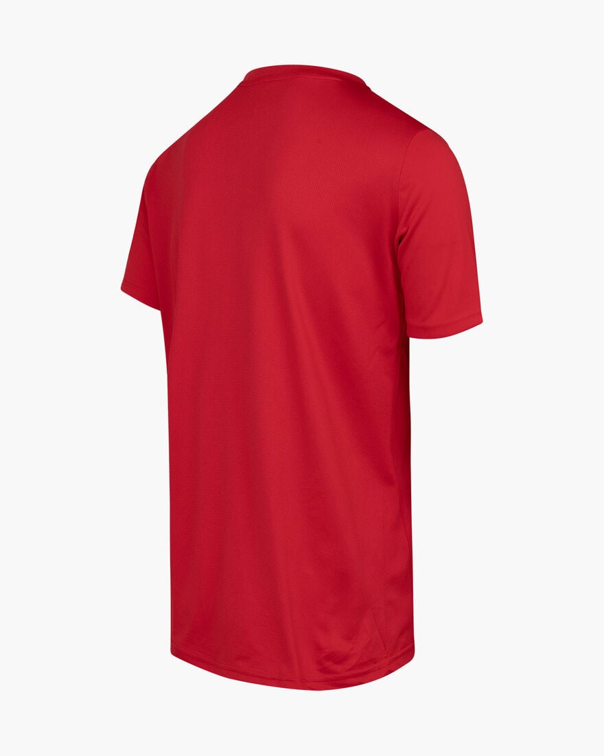 Cruyff Training Shirt Junior, Red, hi-res