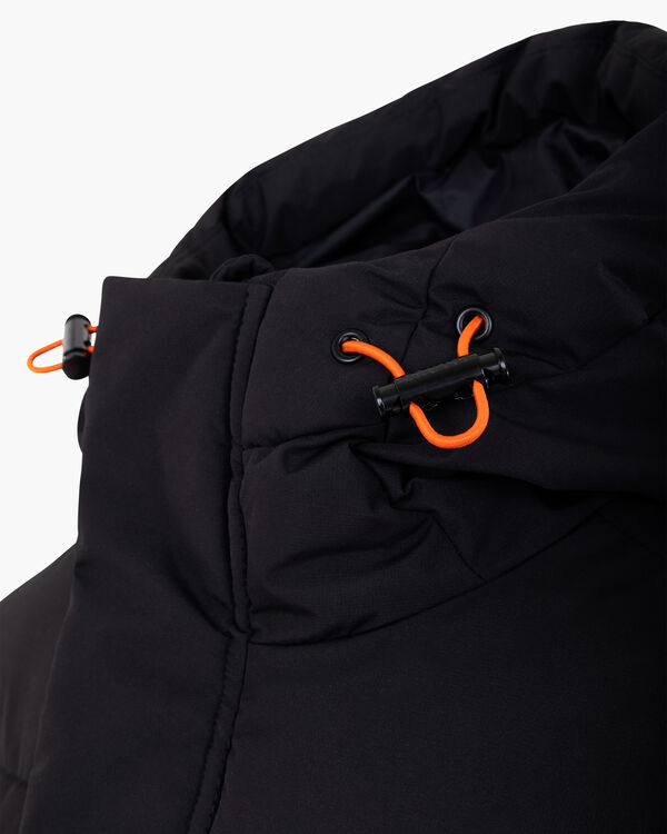 Hooded Puffer