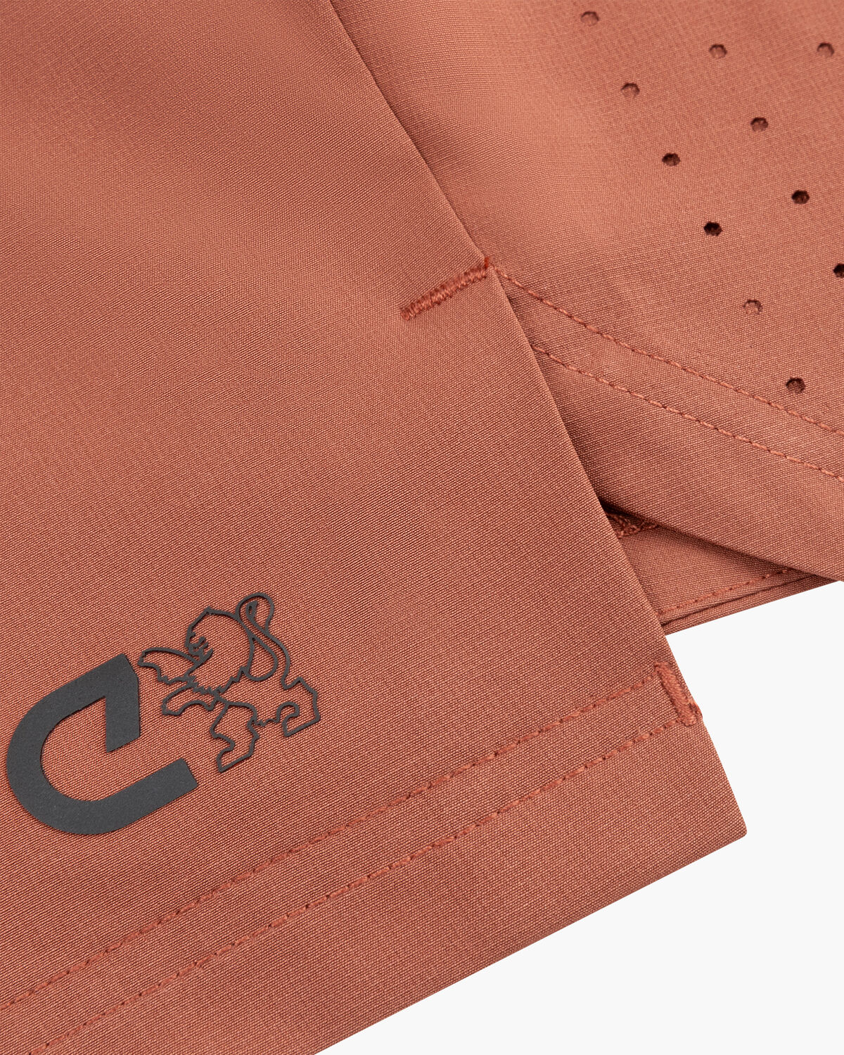 Axis Shorts, Bronze, hi-res