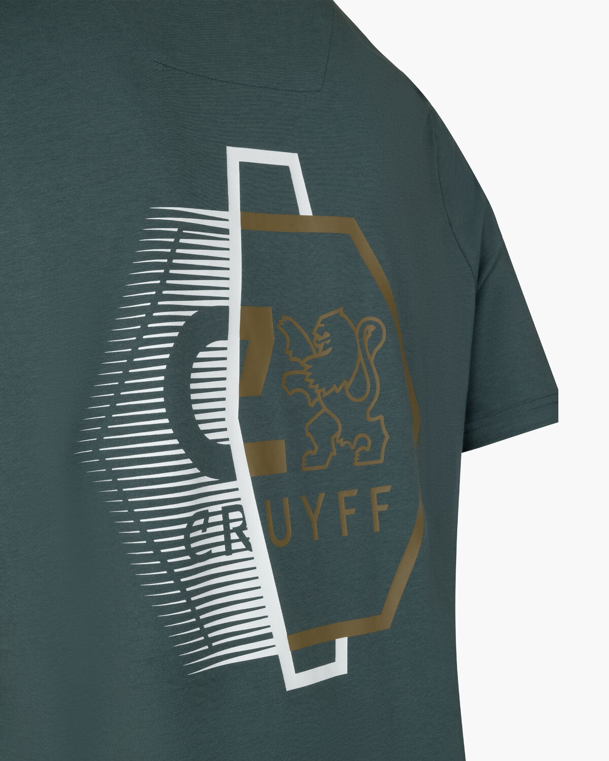 C-Lion Back Graphic Tee, Green/Blue, hi-res
