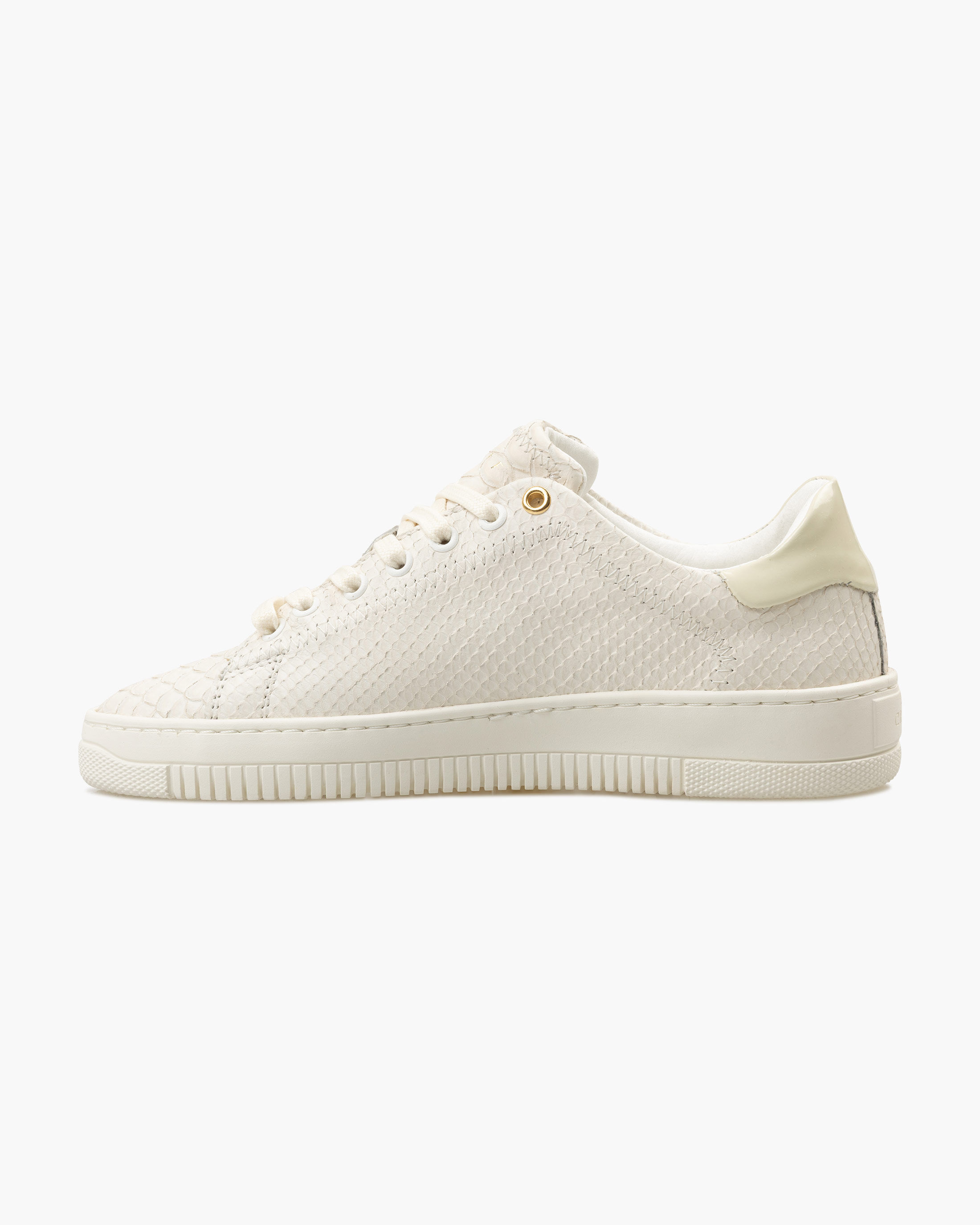 Shop Joan-Anaconda | Official Cruyff Webshop